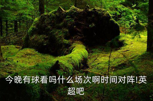 今晚有球看嗎什么場次啊時間對陣!英超吧