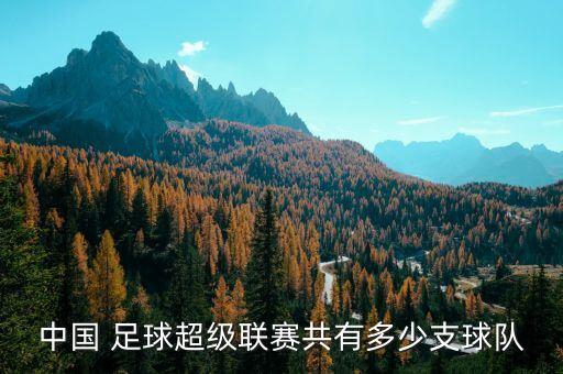 中國 足球超級聯(lián)賽共有多少支球隊