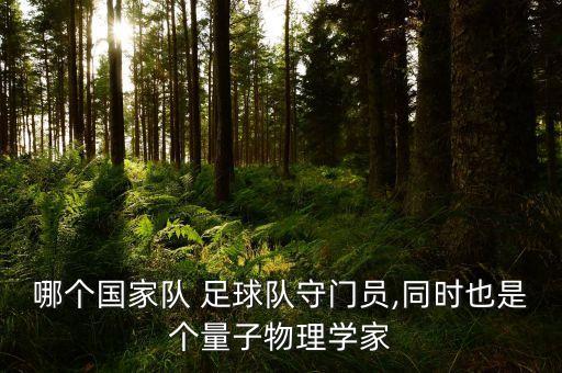 哪個(gè)國家隊(duì) 足球隊(duì)守門員,同時(shí)也是個(gè)量子物理學(xué)家