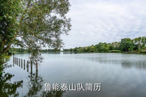 魯能泰山隊簡歷