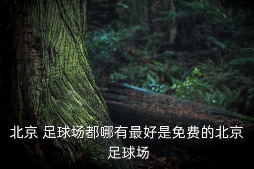 北京 足球場(chǎng)都哪有最好是免費(fèi)的北京 足球場(chǎng)