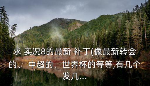 求 實(shí)況8的最新 補(bǔ)丁(像最新轉(zhuǎn)會(huì)的、 中超的、世界杯的等等,有幾個(gè)發(fā)幾...