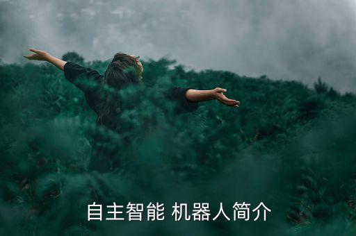 自主智能 機器人簡介