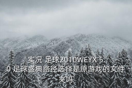  實(shí)況 足球2010WEYX 5.0 足球盛典路徑選擇是原游戲的文件夾嗎