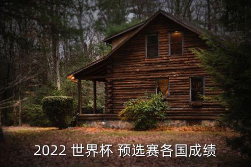2022 世界杯 預(yù)選賽各國成績