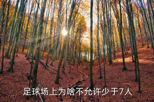  足球場(chǎng)上為啥不允許少于7人