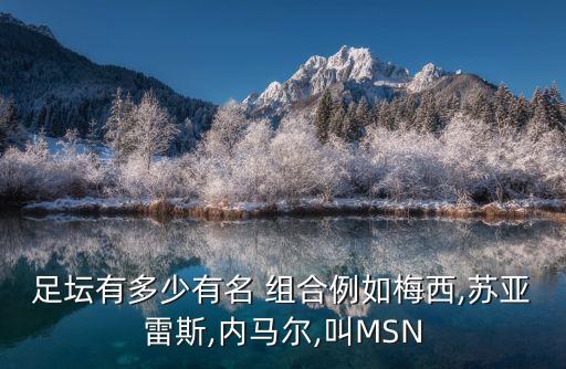 足壇有多少有名 組合例如梅西,蘇亞雷斯,內馬爾,叫MSN