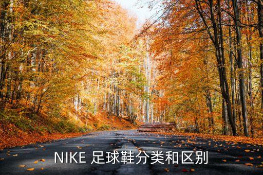 NIKE 足球鞋分類和區(qū)別