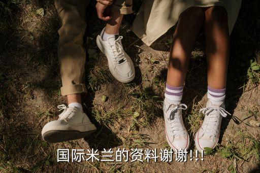 國(guó)際米蘭的資料謝謝!!!
