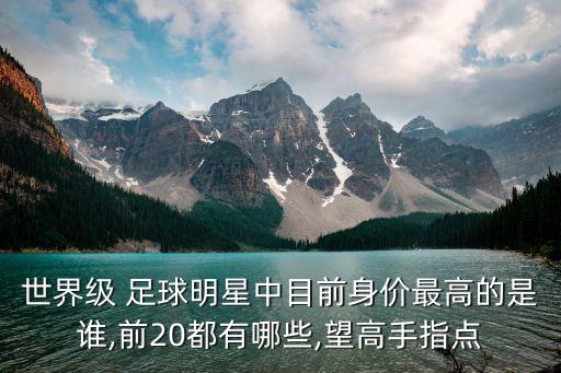 世界級 足球明星中目前身價最高的是誰,前20都有哪些,望高手指點
