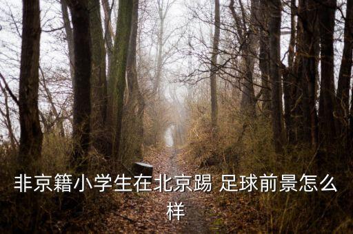 中國少年足球研究中心