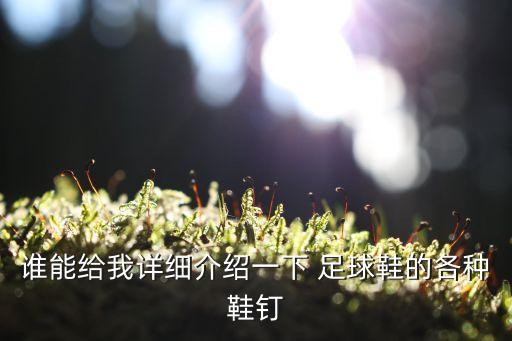 誰能給我詳細(xì)介紹一下 足球鞋的各種鞋釘