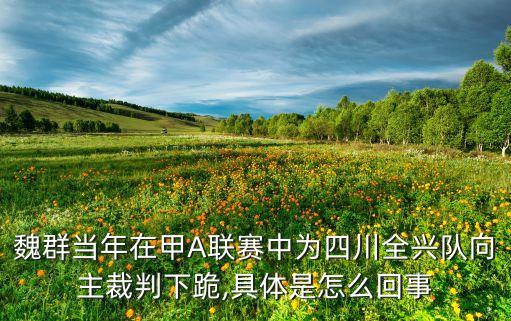 足球場主客隊進攻方向,籃球主客隊進攻方向