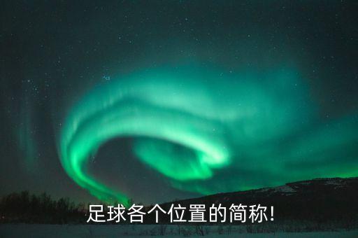  足球各個(gè)位置的簡(jiǎn)稱!