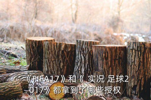 實(shí)況足球17我的球隊(duì)
