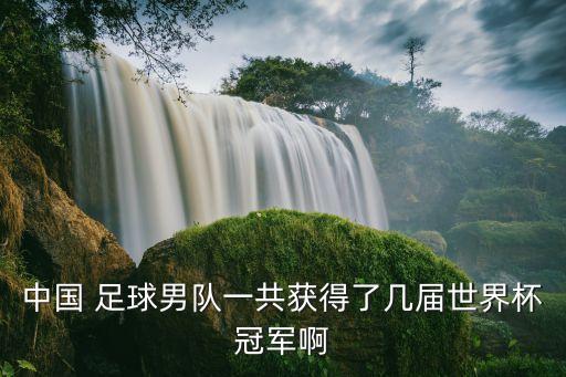 中國(guó) 足球男隊(duì)一共獲得了幾屆世界杯冠軍啊