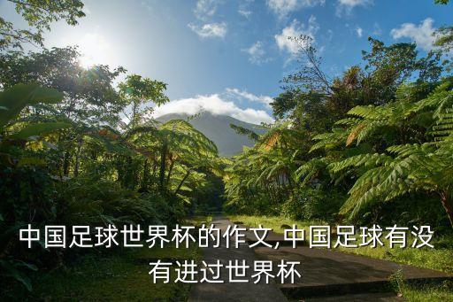 關(guān)于中國足球世界杯的作文,中國足球有沒有進(jìn)過世界杯
