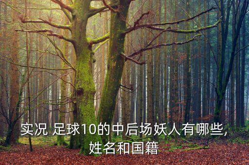 實況 足球10的中后場妖人有哪些,姓名和國籍