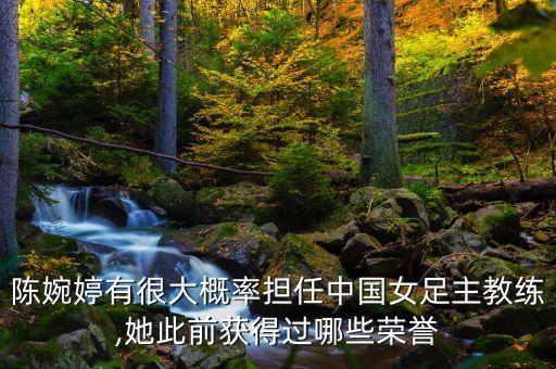 陳婉婷有很大概率擔(dān)任中國女足主教練,她此前獲得過哪些榮譽(yù)