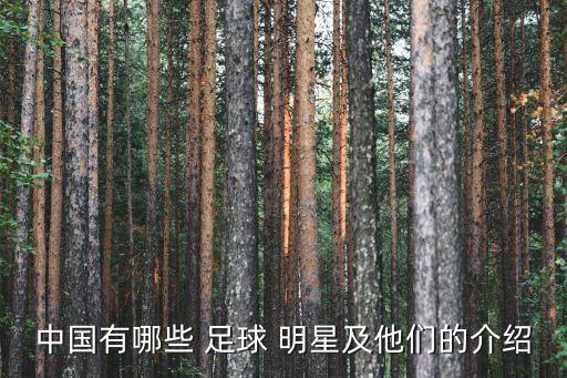 中國(guó)足球明星賽