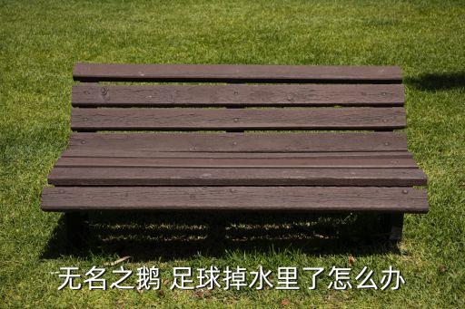 足球射進門可以撈出嗎