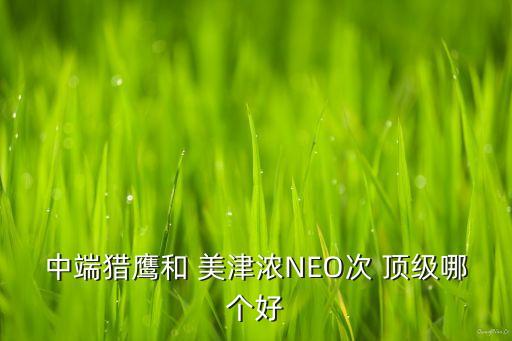 中端獵鷹和 美津濃NEO次 頂級哪個(gè)好