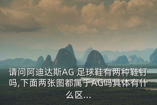 請(qǐng)問(wèn)阿迪達(dá)斯AG 足球鞋有兩種鞋釘嗎,下面兩張圖都屬于AG嗎具體有什么區(qū)...