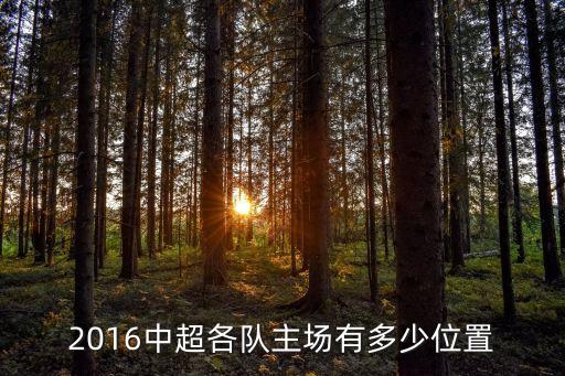 2016中超各隊(duì)主場有多少位置
