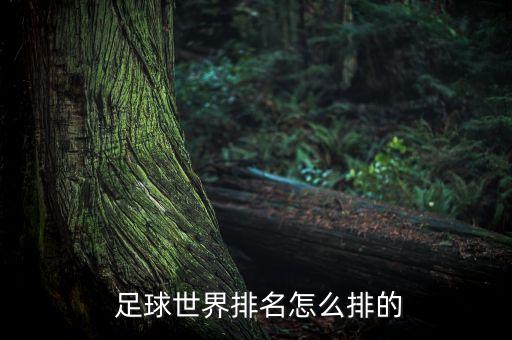  足球世界排名怎么排的