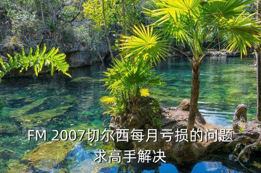 FM 2007切爾西每月虧損的問(wèn)題求高手解決