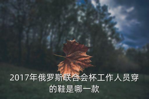 2017年俄羅斯聯(lián)合會(huì)杯工作人員穿的鞋是哪一款