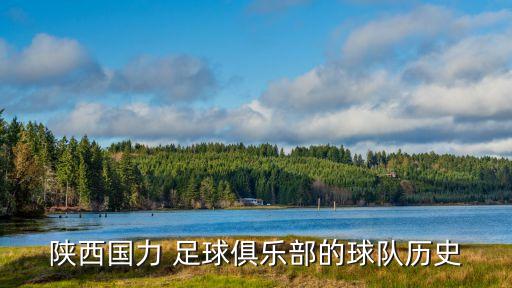 陜西國力 足球俱樂部的球隊歷史