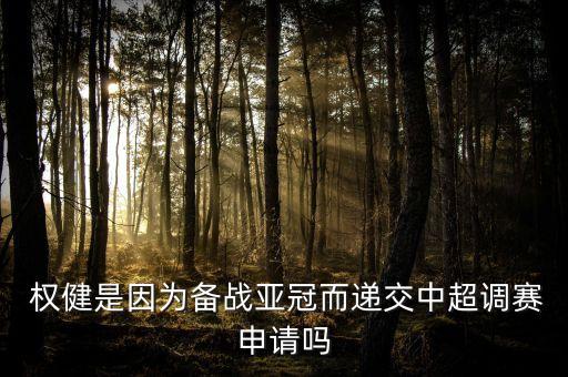天津權健足球俱樂部引援,權健足球俱樂部還能存在嗎