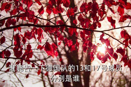 誰(shuí)能告一下德國(guó)隊(duì)的13和17號(hào)球員分別是誰(shuí)