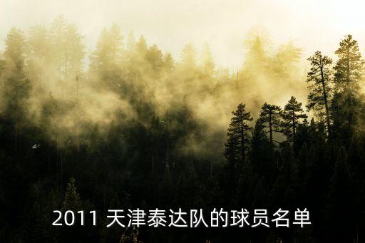 2011 天津泰達(dá)隊的球員名單