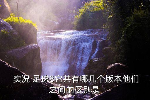 實(shí)況足球8海風(fēng)版