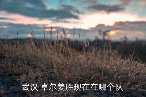 武漢 卓爾姜勝現(xiàn)在在哪個隊
