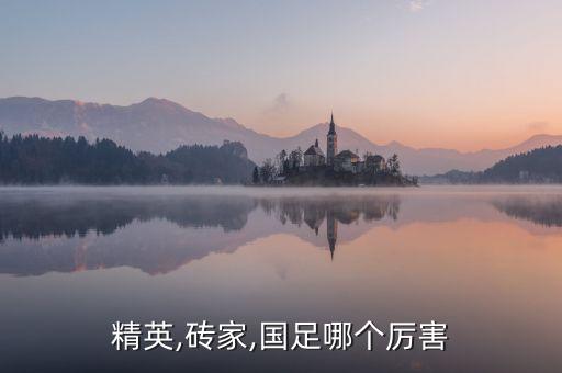 精英,磚家,國足哪個厲害