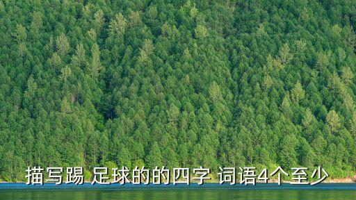 描寫踢 足球的的四字 詞語(yǔ)4個(gè)至少
