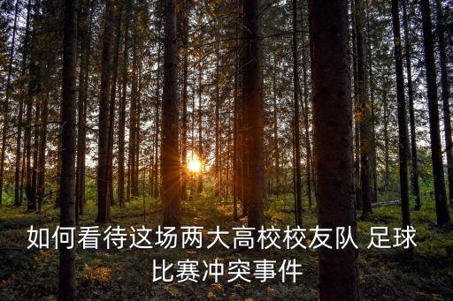 如何看待這場兩大高校校友隊 足球 比賽沖突事件