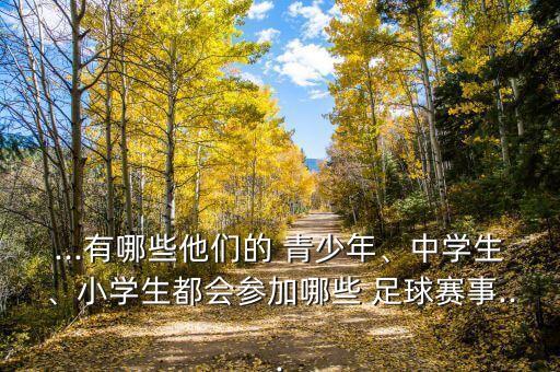 ...有哪些他們的 青少年、中學(xué)生、小學(xué)生都會(huì)參加哪些 足球賽事...