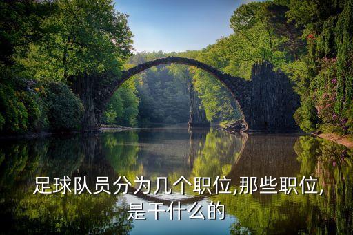  足球隊(duì)員分為幾個職位,那些職位,是干什么的