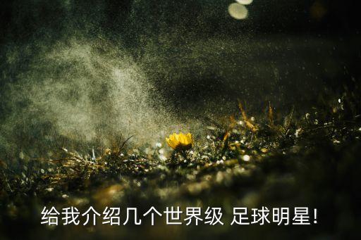 給我介紹幾個(gè)世界級(jí) 足球明星!