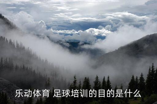奧迪青少年足球訓(xùn)練營(yíng),友邦保險(xiǎn)青少年足球訓(xùn)練營(yíng)