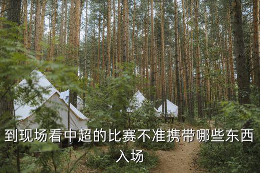 到現(xiàn)場看中超的比賽不準(zhǔn)攜帶哪些東西入場