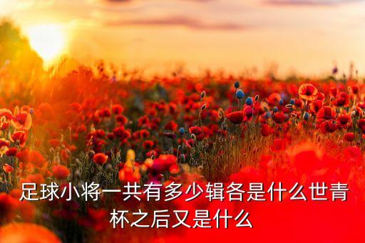 曰本少年足球,室內(nèi)足球少年!!!!! 動(dòng)漫