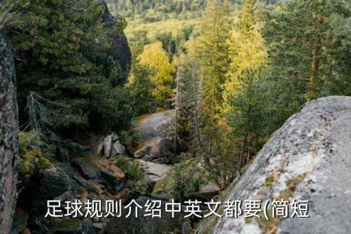  足球規(guī)則介紹中英文都要(簡(jiǎn)短