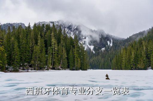  西班牙體育專業(yè)分支一覽表