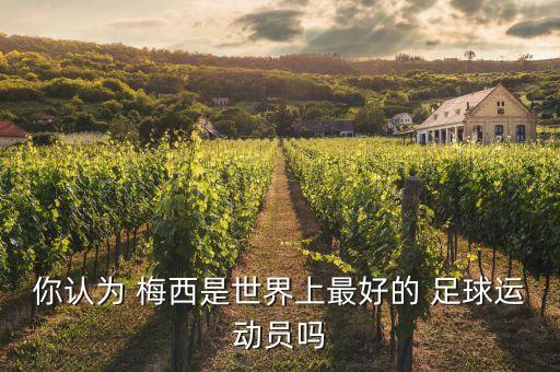 你認(rèn)為 梅西是世界上最好的 足球運(yùn)動員嗎