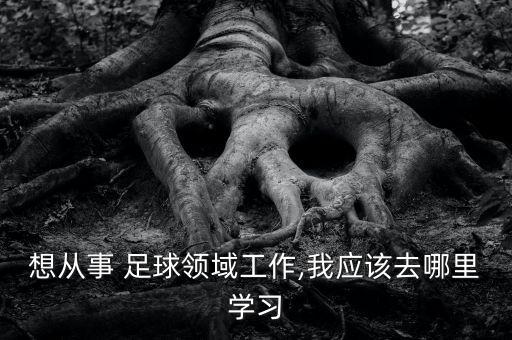 想從事 足球領(lǐng)域工作,我應(yīng)該去哪里學(xué)習(xí)